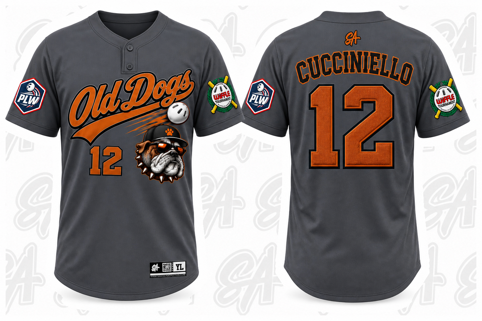 Old Dogs  design mockup